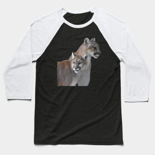 Mountain Lion Baseball T-Shirt